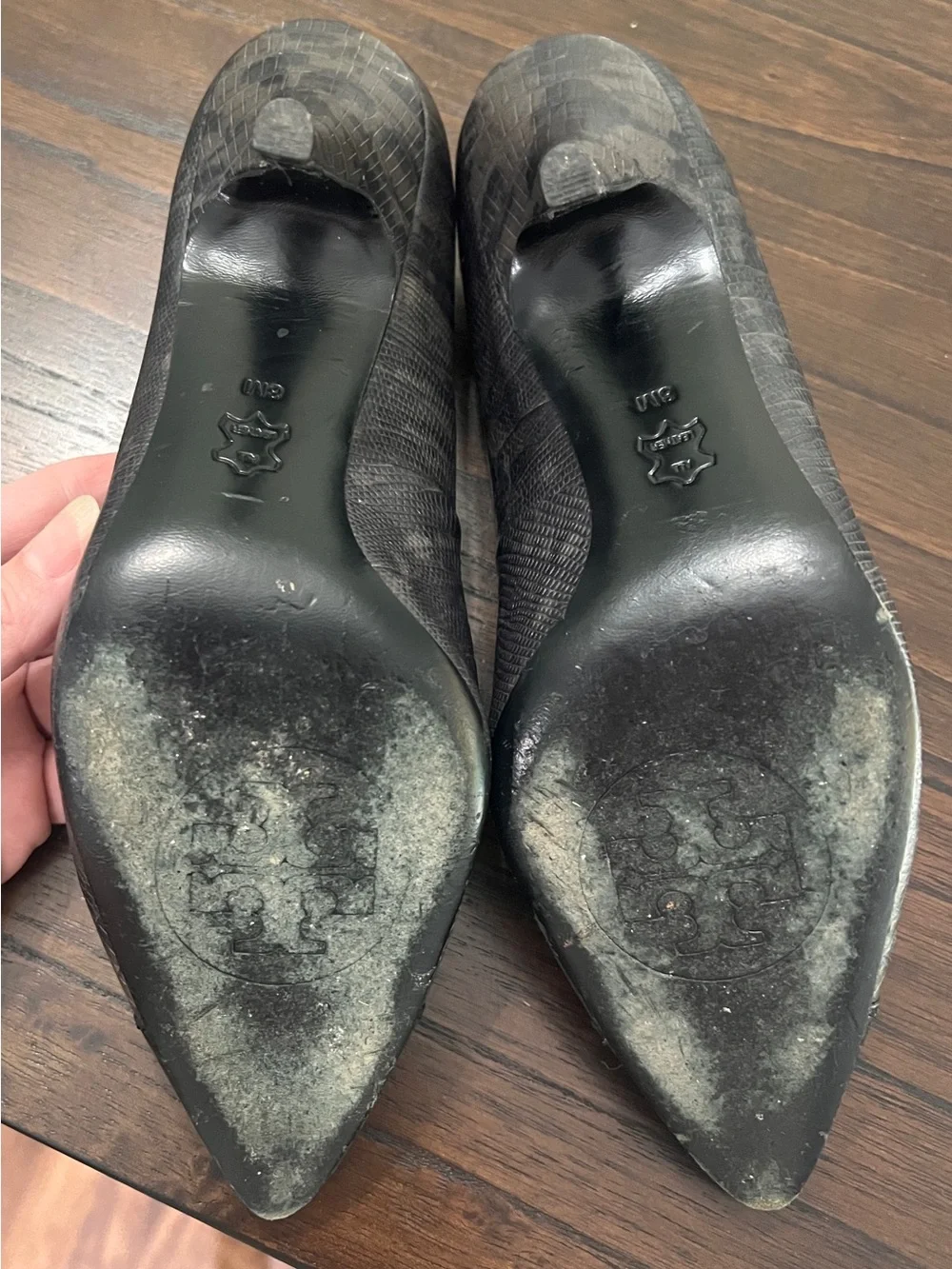 Tory Burch Gray Lyla Reptile Print Pump Black Cap